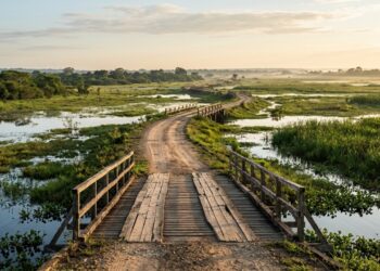 O município onde começa uma estrada de 145 quilômetros com 125 pontes atravessando o Pantanal, e dirigir por ela virou um safári em que jacarés e capivaras aparecem ao lado do carro