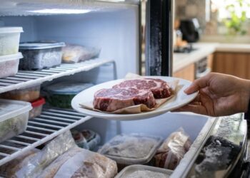 Recongelar carne que já foi descongelada não causa intoxicação pelo frio em si, o problema é o tempo que ela ficou na temperatura em que as bactérias se multiplicam: a ciência de alimentos explica que entre 5 e 60 graus a população bacteriana dobra a cada 20 minutos