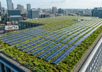 Teto com 14 mil plantas transforma cobertura em usina solar viva, reduz 28 °C de calor e aumenta geração de energia em dias extremos