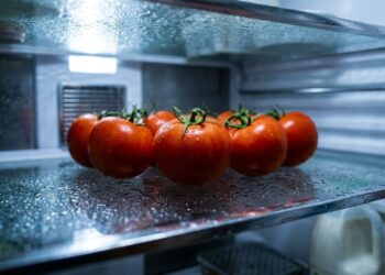 O alimento que você guarda errado há anos sem saber: por que o tomate perde aroma na geladeira e quando o frio prejudica o sabor