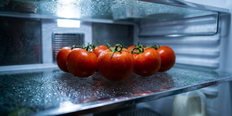 O alimento que você guarda errado há anos sem saber: por que o tomate perde aroma na geladeira e quando o frio prejudica o sabor