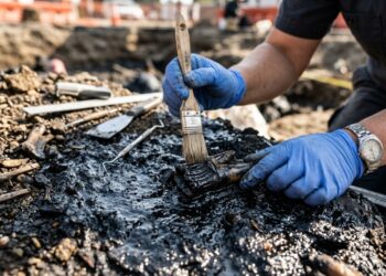 Spea labreae, sapo da Era do Gelo, não é apenas uma nova espécie extinta, mas uma pista de como mudanças climáticas deslocaram anfíbios por 2.500 quilômetros
