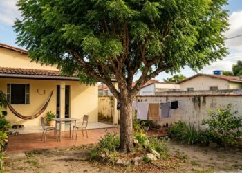 Cientistas da Embrapa calculam que uma árvore de neem adulta no quintal afasta até 200 espécies de insetos e reduz em até 3 °C a temperatura do cômodo mais próximo