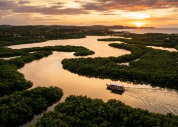 Praias cercadas por falésias dividem o mesmo município com uma lagoa de água salgada onde o pôr do sol virou atração turística, enquanto golfinhos, tartarugas e Mata Atlântica fazem parte dos passeios a poucos quilômetros do centro