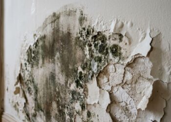 Qual a melhor solução para parede com umidade: aplicar hidrofugante, refazer o reboco com aditivo impermeabilizante ou instalar drenagem na base da parede? O que resolve de verdade e o que só esconde o problema por 6 meses