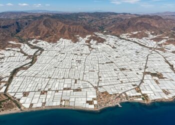A Grande Muralha da China não é visível do espaço a olho nu, mas existe uma construção humana que é: os estufas de Almería, na Espanha, cobrem uma área tão grande com plástico branco que aparecem nas fotos da NASA, e de lá saem os tomates e pepinos que abastecem metade da Europa graças a um sistema que um agricultor copiou de uma estufa de flores holandesa nos anos 1960