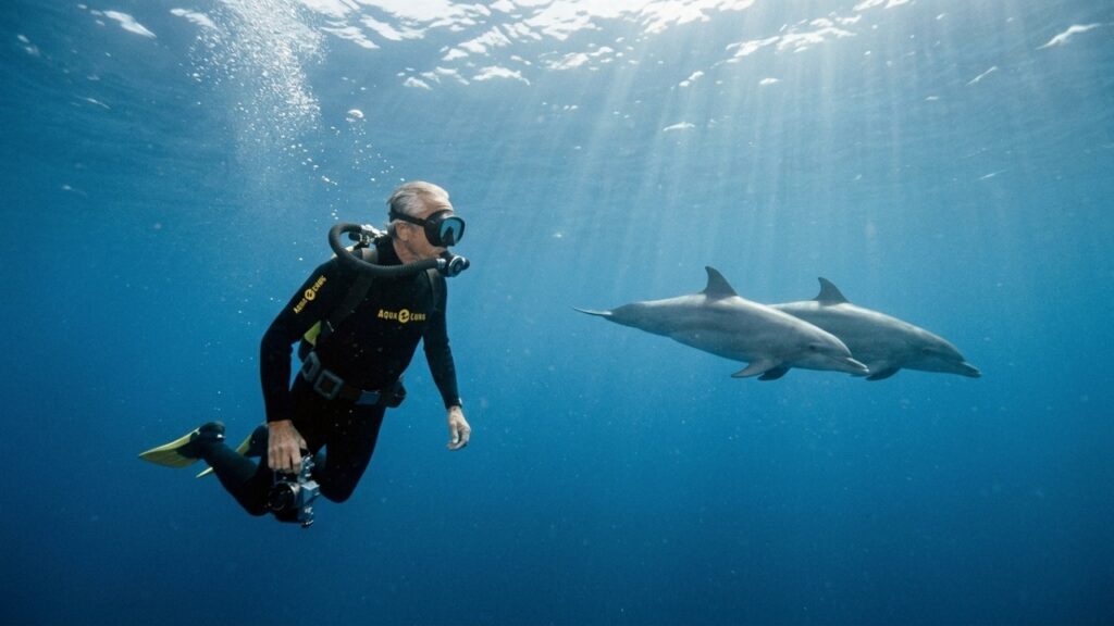 A frase atribuída a Jacques Cousteau sobre abelhas e golfinhos que transforma a capacidade de se maravilhar em uma ideia de felicidade