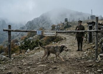 O cachorro que cruzou uma fronteira e deixou dois países a poucos passos de uma guerra