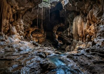 A caverna brasileira onde 41 espécies vivem sem conhecer a luz do dia