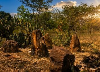 A 'Mesopotâmia brasileira' que guarda uma floresta fossilizada de 270 milhões de anos numa avenida