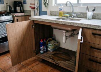 Encanadores revelam a verdade dolorosa: "As pessoas preferem gastar R$ 5.000 em uma reforma de cozinha, mas fingem não ver o cano estourado embaixo da pia"