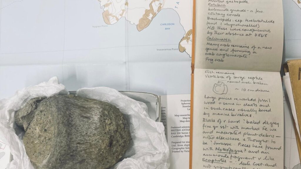 Um fóssil coletado na Antártida em 1985 não era apenas uma vértebra esquecida, mas o primeiro dinossauro achado no continente, um titanossauro de até 7 metros