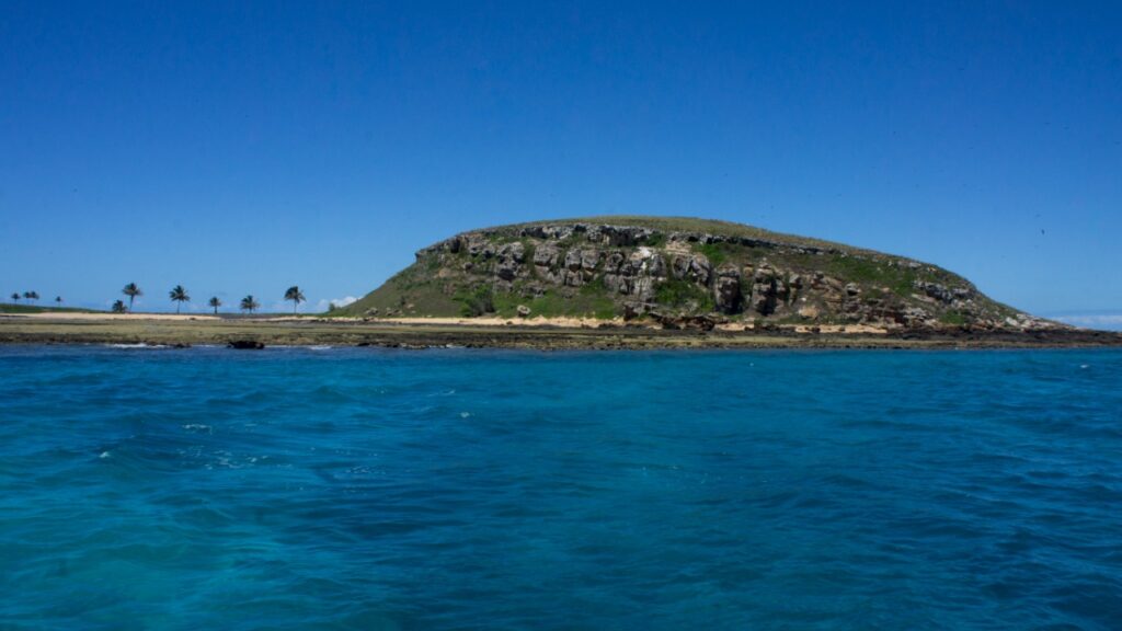 Barcos deixam este município histórico e passam até cinco horas navegando para chegar ao primeiro parque nacional marinho do Brasil, onde o turista mergulha entre formações de coral únicas e encontra baleias-jubarte durante parte do ano
