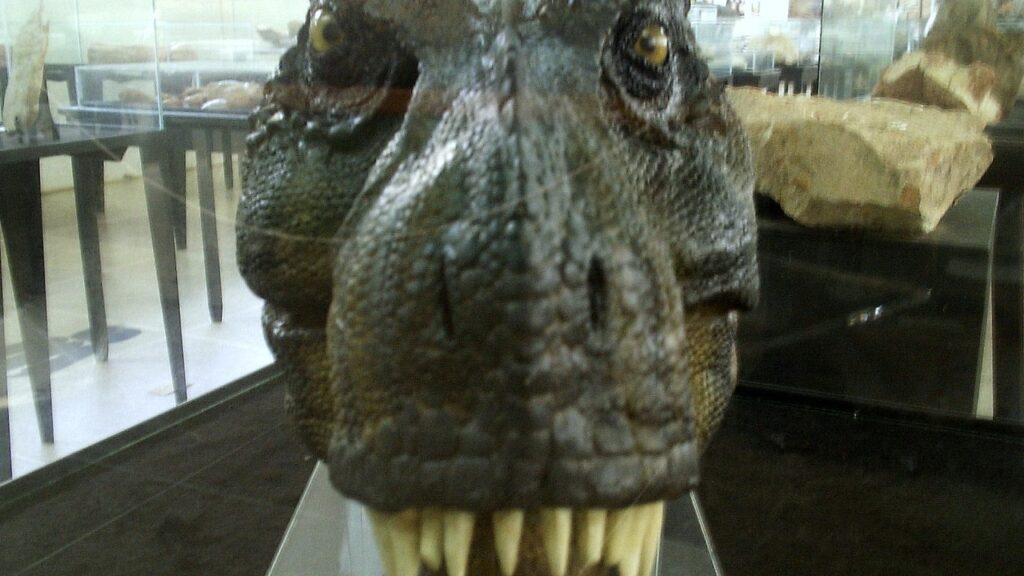 Mais de 30 pontos de coleta de fósseis cercam um município paulista onde cientistas encontraram crocodilos desconhecidos pela ciência e ossos de enormes titanossauros, transformando o museu municipal em atração de turismo científico