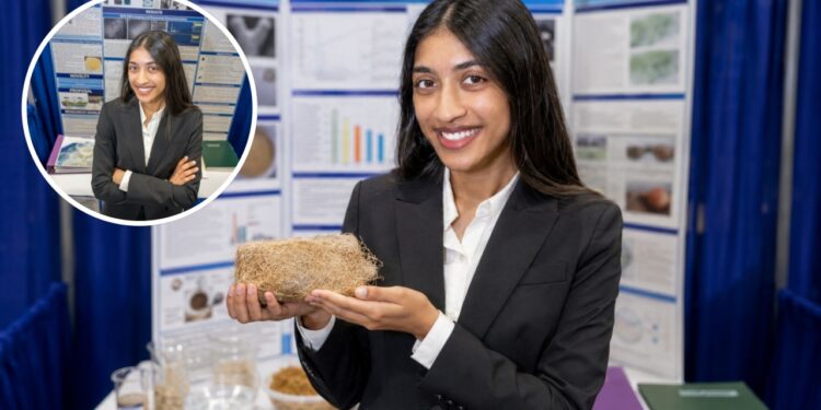 Uma estudante de 18 anos transformou resíduo de juta numa esponja que captura o veneno de pneu que vem matando salmões, mediu a remoção em laboratório, e chegou a um custo 98% menor e a um gasto 85% menor de energia que o mercado