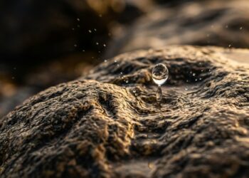 “Água mole em pedra dura, tanto bate até que fura”: o verdadeiro significado do provérbio sobre persistência