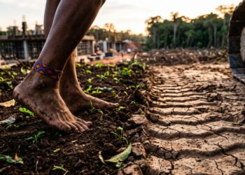  Provérbio guarani traduzido por antropólogos: "A terra não pertence a nós, nós pertencemos à terra" a frase que vira símbolo em disputas territoriais no Brasil de hoje 