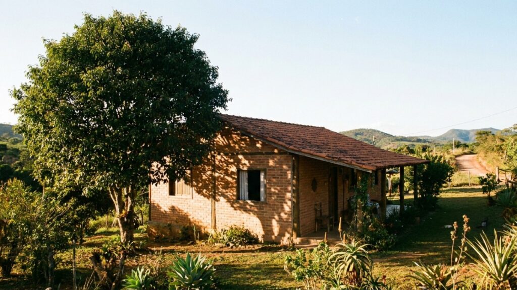 Paisagista revela o segredo que pode reduzir em até 25% a energia usada por uma casa: posicionar árvores para sombrear as áreas de maior incidência solar