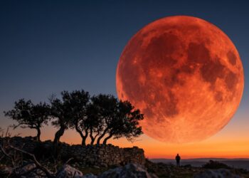 O que significa a Lua aparecer avermelhada perto do horizonte e por que ela parece gigante nessa hora se o tamanho não muda