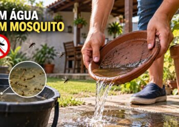 Especialistas em vigilância vetorial concordam: “A melhor maneira de manter os mosquitos longe do seu quintal não é usando sistemas automáticos de nebulização, mas eliminando a água parada onde as larvas se desenvolvem.”