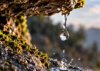 O que significa essa frase: “Água mole em pedra dura, tanto bate até que fura”?