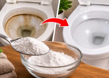 3 colheres à noite e pela manhã o vaso sanitário ficará brilhando: antigas manchas de calcário serão removidas sozinhas