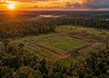 Arqueólogos mapearam mais de 1.500 geoglifos no Acre, desenhos de terra com até 300 metros de diâmetro feitos há 2 mil anos, e só foram vistos depois que a floresta caiu