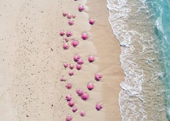 Fenômeno assustador na natureza: centenas de águas vivas gigantes e rosadas aparecem nas praias do mar Báltico