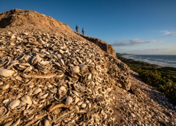Os sambaquis do litoral de Santa Catarina: montanhas de conchas com até 30 metros de altura, erguidas há milhares de anos e confundidas com morros comuns