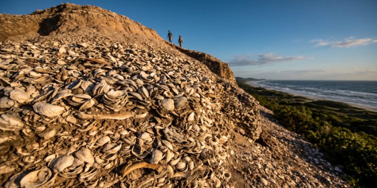 Os sambaquis do litoral de Santa Catarina: montanhas de conchas com até 30 metros de altura, erguidas há milhares de anos e confundidas com morros comuns