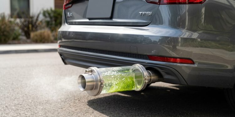Estudantes criam dispositivo que reduz emissões de carros a gasolina em até 74%: filtro movido a microalgas