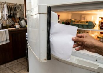 Teste da folha para verificar a borracha da geladeira