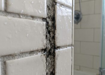 Marido de aluguel que troca rejunte de banheiro conta que o mofo preto que volta 2 meses depois da limpeza está embaixo do rejunte, não em cima, e o produto certo custa menos que o de limpeza comum
