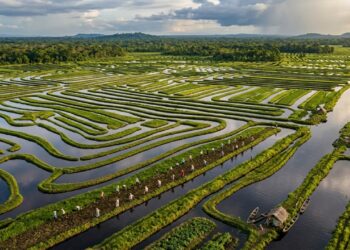 Canais pré-hispânicos de La Mojana cobrem 500 mil hectares