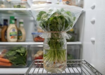 Conservação de alimentos - Imagem ilustrativa criada por inteligência artificial (ChatGPT / Olhar Digital)