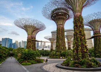 A cidade asiática onde árvores artificiais gigantes funcionam como jardins verticais, coletam água da chuva e ajudam a gerar energia solar