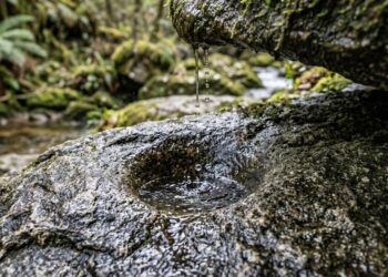 Ditado popular "Água mole em pedra dura, tanto bate até que fura": o ditado que ensina sobre persistência em metas que parecem impossíveis a curto prazo
