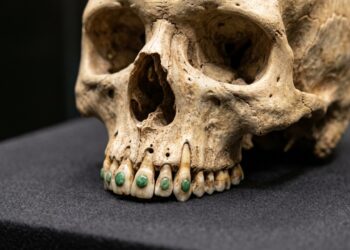 Arqueólogos descobriram dentes maias com obturações de jade feitas há mais de um milênio