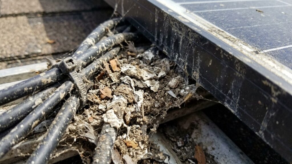Homem tirou os painéis solares do telhado depois de sete anos e ficou impressionado com o que encontrou embaixo: a sujeira, as fezes de pombo e a diferença de temperatura nas telhas explicam por que a inclinação e o vão de ventilação valem mais do que a marca do painel