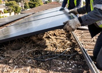 Homem tirou os painéis solares do telhado depois de sete anos e ficou impressionado com o que encontrou embaixo: a sujeira, as fezes de pombo e a diferença de temperatura nas telhas explicam por que a inclinação e o vão de ventilação valem mais do que a marca do painel