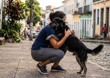 Negão ficou desaparecido por mais de um mês e percorreu cerca de 12 km, até aparecer por acaso em uma reportagem ao vivo e ser reconhecido pela própria tutora