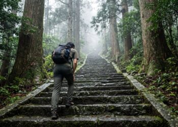 Provérbio japonês que se repete desde o período Edo: "Caia sete vezes, levante-se oito", a frase sobre por que insistir importa mais do que acertar de primeira