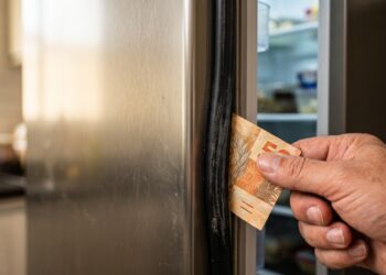 Técnico de geladeira revela o teste de 10 segundos que denuncia se o frio está escapando pela porta