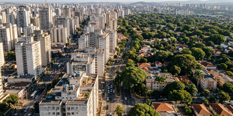Climatologistas concordam: “O centro da cidade pode ficar vários graus mais quente que o bairro arborizado ao lado, por causa da ilha de calor”