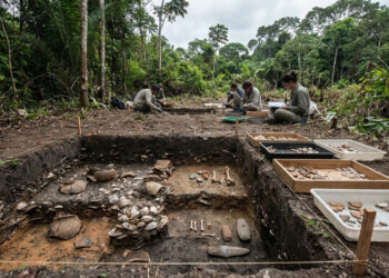 Conchas, ossos, cerâmicas e objetos de pedra ajudam a reconstruir uma ocupação amazônica iniciada há cerca de 2.700 anos