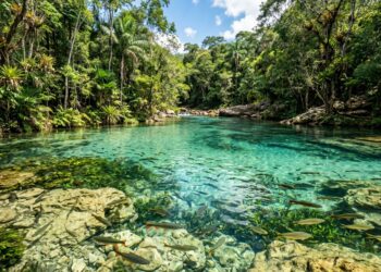 Na Serra da Bodoquena, uma cidade de rios cristalinos transformou grutas, cachoeiras e águas transparentes em um dos maiores polos de ecoturismo do país