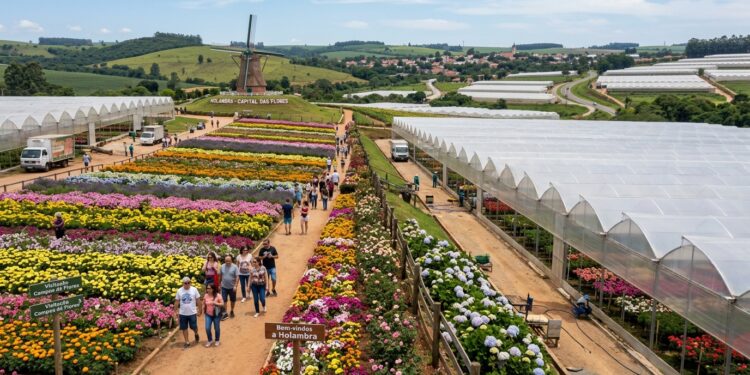Um pedaço do interior paulista onde flores ocupam dezenas de quilômetros quadrados transformou estufas e lavouras em passeios turísticos durante praticamente o ano inteiro