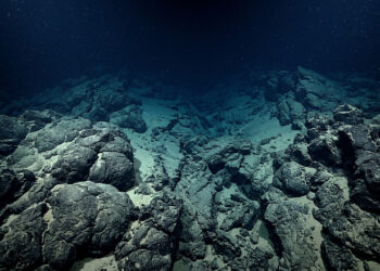 O pedaço do oceano onde duas placas tectônicas estão lentamente se afastando e novo material vindo do interior da Terra preenche a abertura continuamente