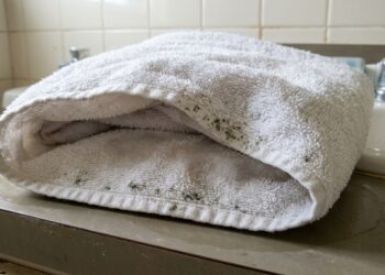 Especialista em limpeza alerta que toalha úmida dobrada no banheiro demora mais para secar e favorece o surgimento de mofo no ambiente