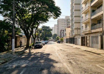 Urbanistas concordam: “A rua mais fresca do bairro não é a que tem sombra de prédio, mas a que tem árvores de copa larga, capazes de deixar o asfalto mais de 10 °C menos quente”